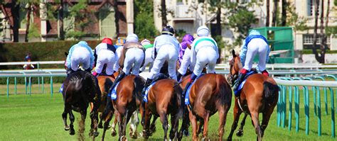 horse racing betting syndicates|Our Members – Racehorse Syndicates Association.